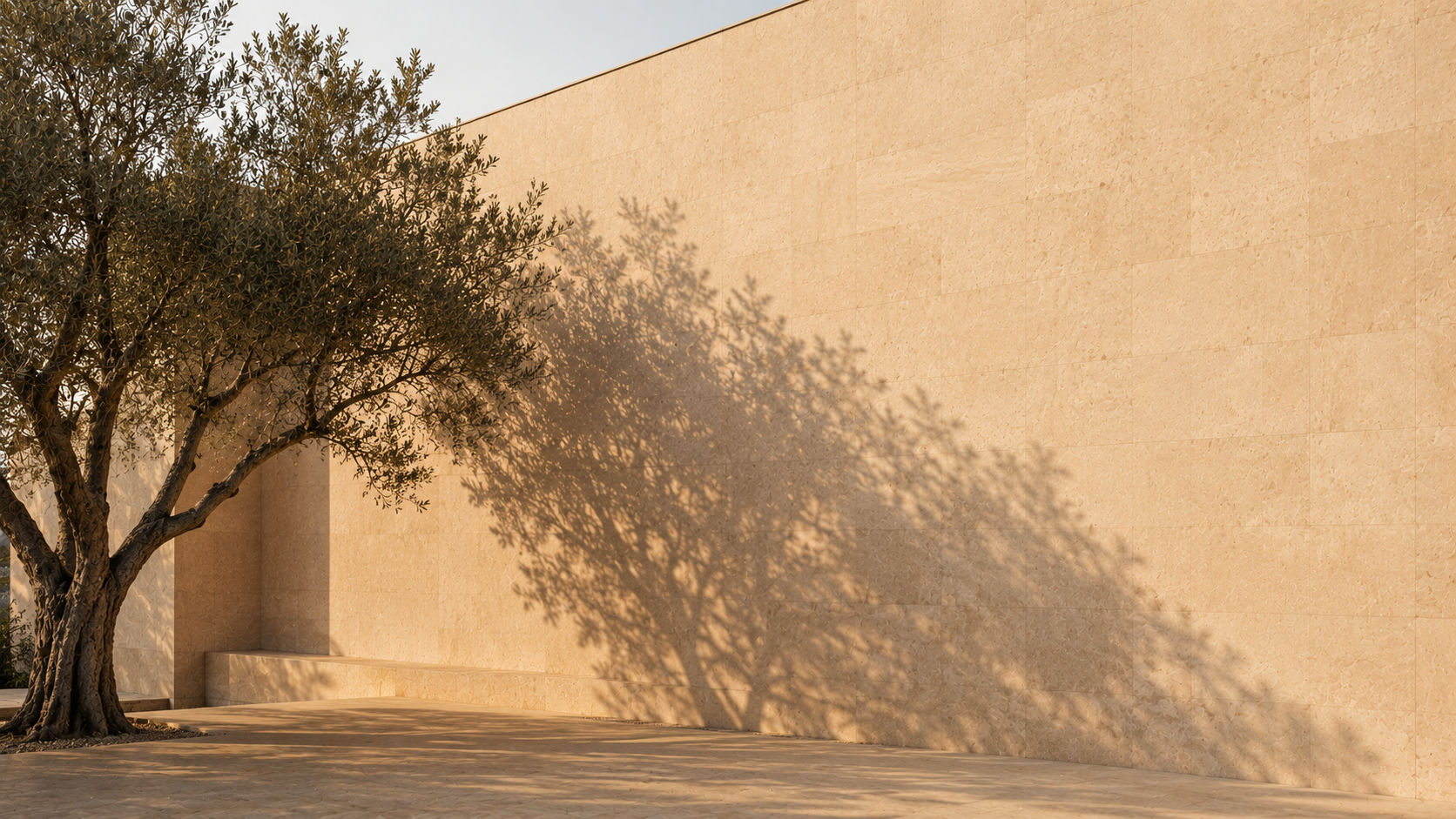 Olive tree shadow on a stone wall